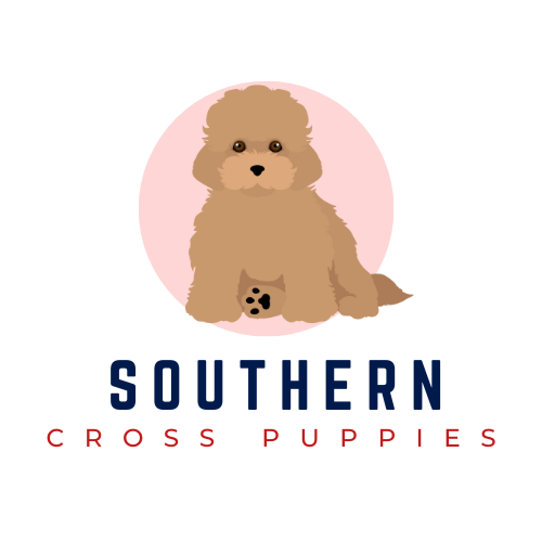 Southern Cross Puppies
